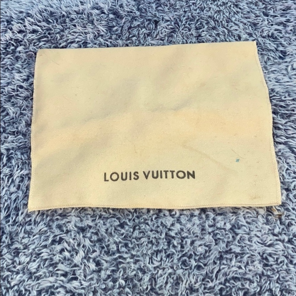 Louis Vuitton dust bag